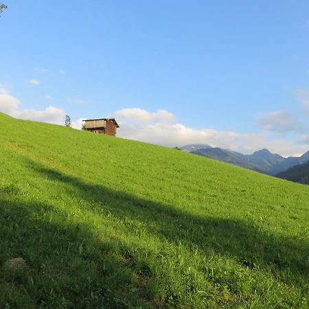Pension Muehlbachhof ألباخ المظهر الخارجي الصورة